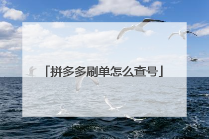 拼多多刷单怎么查号