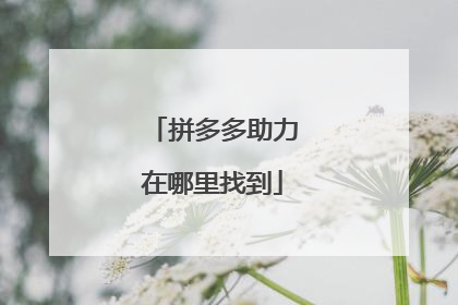 拼多多助力在哪里找到