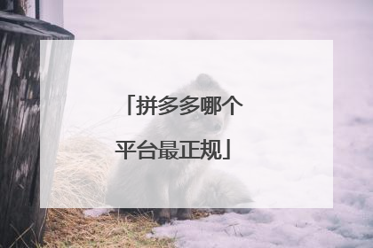 拼多多哪个平台最正规