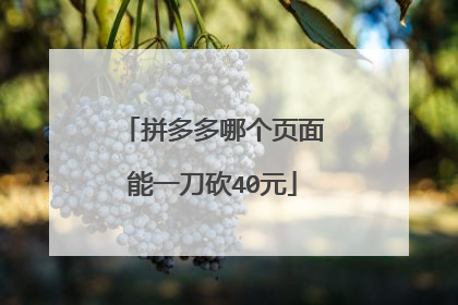 拼多多哪个页面能一刀砍40元