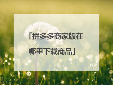 拼多多商家版在哪里下载商品