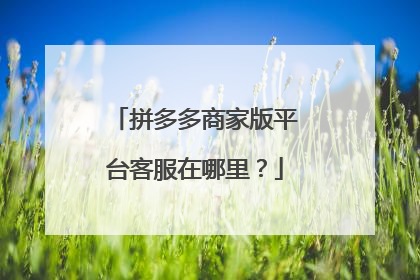 拼多多商家版平台客服在哪里?