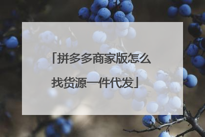 拼多多商家版怎么找货源一件代发