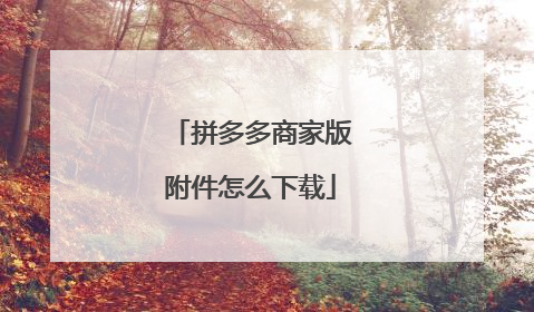 拼多多商家版附件怎么下载