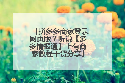 拼多多商家登录网页版?听说【多多情报通】上有商家教程干货分享