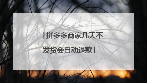 拼多多商家几天不发货会自动退款