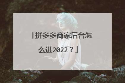 拼多多商家后台怎么进2022?