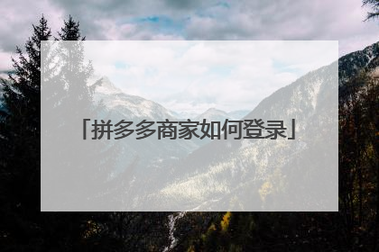 拼多多商家如何登录