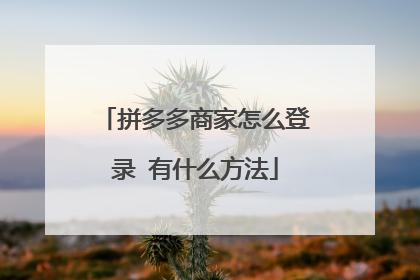 拼多多商家怎么登录 有什么方法