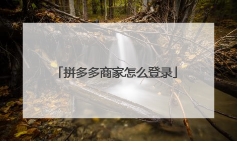 拼多多商家怎么登录