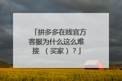 拼多多在线官方客服为什么这么难接 (买家)?