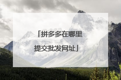 拼多多在哪里提交批发网址