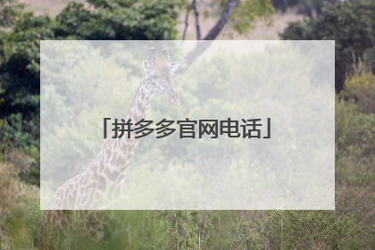 拼多多官网电话