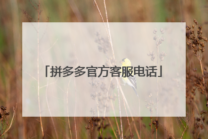 拼多多官方客服电话