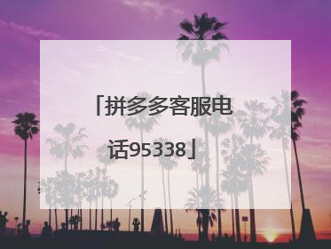 拼多多客服电话95338