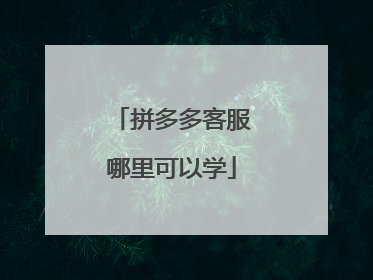 拼多多客服哪里可以学