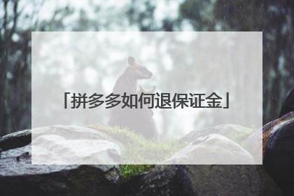 拼多多如何退保证金
