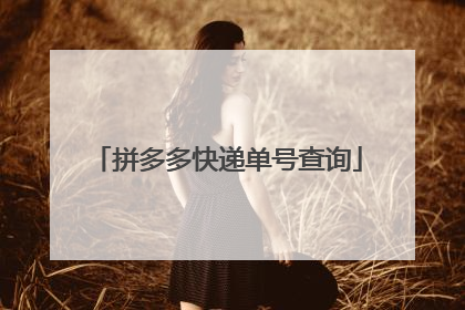 拼多多快递单号查询