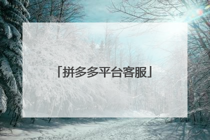 拼多多平台客服