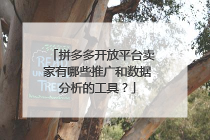 拼多多开放平台卖家有哪些推广和数据分析的工具?