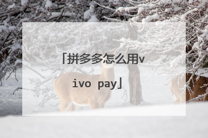 拼多多怎么用vivo pay