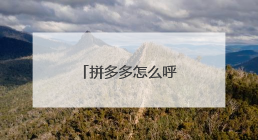 拼多多怎么呼叫人工客服
