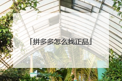 拼多多怎么找正品