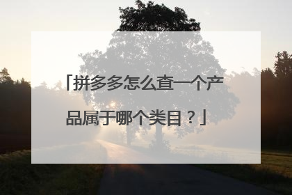 拼多多怎么查一个产品属于哪个类目?