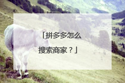 拼多多怎么搜索商家?