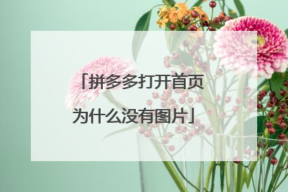 拼多多打开首页为什么没有图片