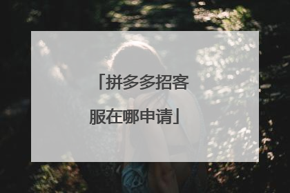 拼多多招客服在哪申请