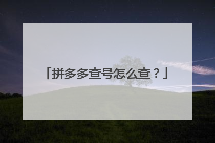 拼多多查号怎么查?