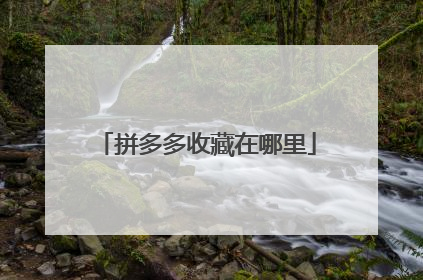拼多多收藏在哪里