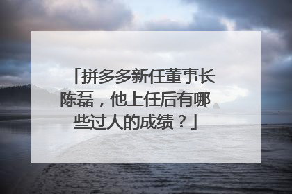 拼多多新任董事长陈磊,他上任后有哪些过人的成绩?
