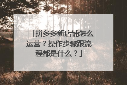 拼多多新店铺怎么运营?操作步骤跟流程都是什么?