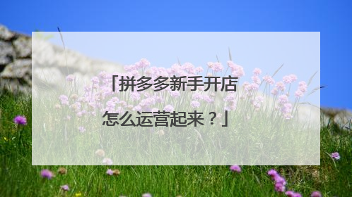 拼多多新手开店怎么运营起来?