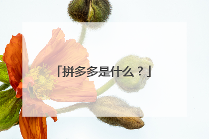 拼多多是什么？