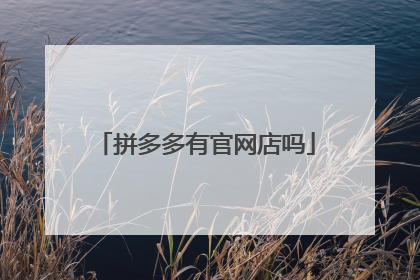 拼多多有官网店吗