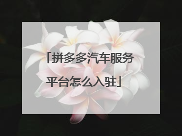 拼多多汽车服务平台怎么入驻