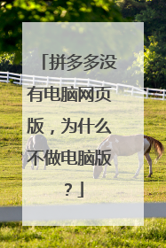 拼多多没有电脑网页版,为什么不做电脑版?