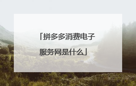 拼多多消费电子服务网是什么