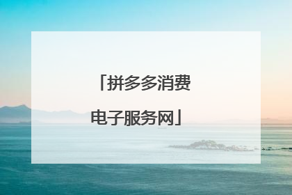 拼多多消费电子服务网
