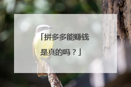 拼多多能赚钱是真的吗?