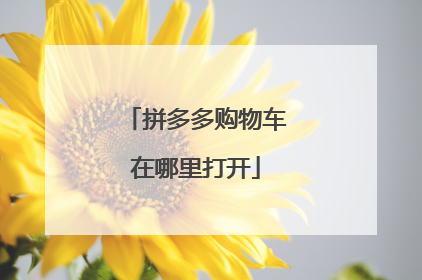 拼多多购物车在哪里打开