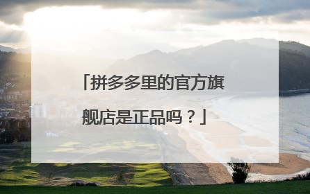 拼多多里的官方旗舰店是正品吗?