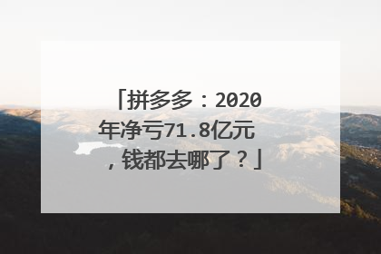 拼多多:2020年净亏71.8亿元,钱都去哪了?