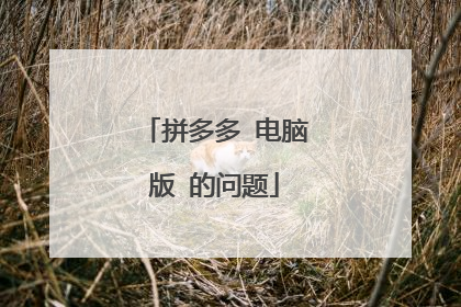 拼多多 电脑版 的问题