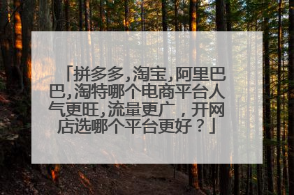 拼多多,淘宝,阿里巴巴,淘特哪个电商平台人气更旺,流量更广,开网店选哪个平台更好?