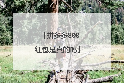 拼多多800红包是真的吗