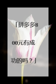 拼多多800元有成功的吗?